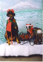 890114-Deck the Hall with Goof Balls.JPG