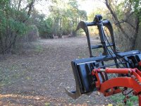 IMG_0274 brush gone ready to tackle trees (600 x 450).jpg