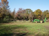 JD tree dragging1.JPG