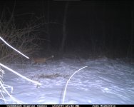 CDY_0041.JPG