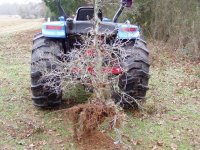 grubber 002.jpg