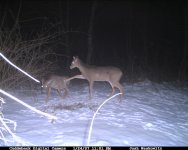 CDY_0042.JPG