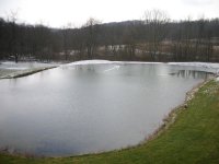 New pond pic.JPG