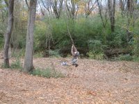 Vine Swing, Dec 06.jpg