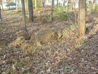 leaf dump area (800 x 600).jpg