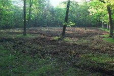 890968-Upper plot pic 2 resize.jpg