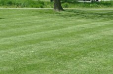 891268-Striping 007 (Small).jpg