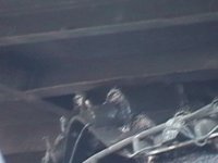 891600-rollers.jpg