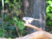 891661-May 06 196 (Small).jpg
