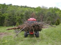 891678-Brush Cleanup 2.jpg
