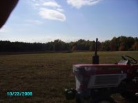 PICT0316.JPG