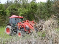891703-Brush Cleanup.jpg