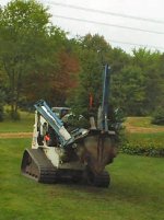 haulin_tree2.jpg