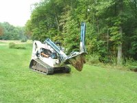 haulin_tree3.jpg