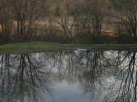 DSCN1430.JPG