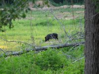 892754-May 06 003 (Small).jpg