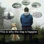 Dog is happier.png