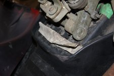 IMG_4930.JPG