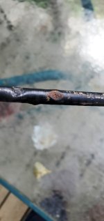 cable 3.jpg