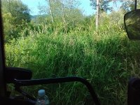 Mowing.jpg