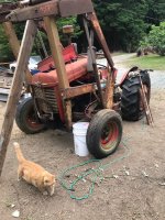 IMG_1987.jpeg