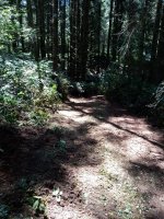 trail2.jpg