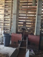 IMG_20210815_131138946.jpg