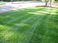 893628-turff.JPG