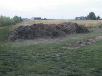 Wood chips (Medium).jpg