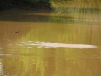 894764-May 06 313 (Small).jpg