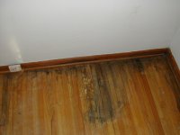 DSCN1761.JPG