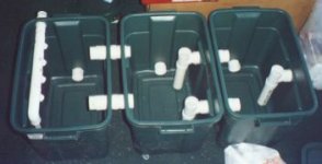 Simple koi filter (Keith's Korner).jpg