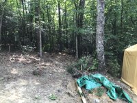 underbrush cleared for house site.jpg