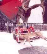 Kubota & Deer.jpg