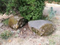 IMG_0137a.jpg