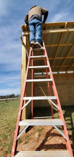 RunIn Ladder.jpg