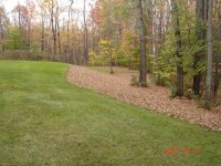 DSC00248.JPG