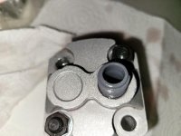 1903776374113961477 (1).jpg