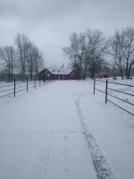 IMG_20210216_083348037.jpg