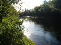 896418-River, up.jpg