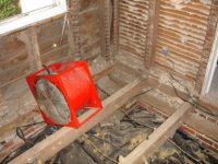 896474-fan.jpg