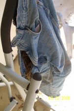 897703-Pants-1.JPG