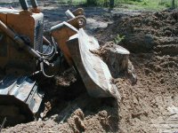 897722-stump-5.JPG