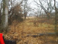 Land 027.jpg