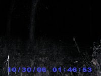PIC_0003.JPG