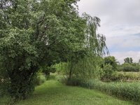 PXL_20210628_184929437.jpg