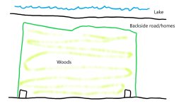 Tree Stand.jpg