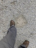 IMG_1535.jpg IMG_1535.jpg