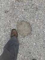 IMG_1536.jpg IMG_1536.jpg
