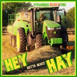 Hey Gotta Make Hay cover art.jpg